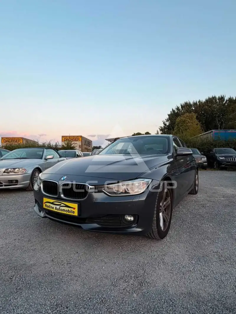 2015 BMW 316