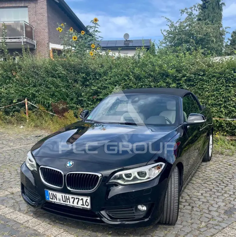 2015 BMW 220