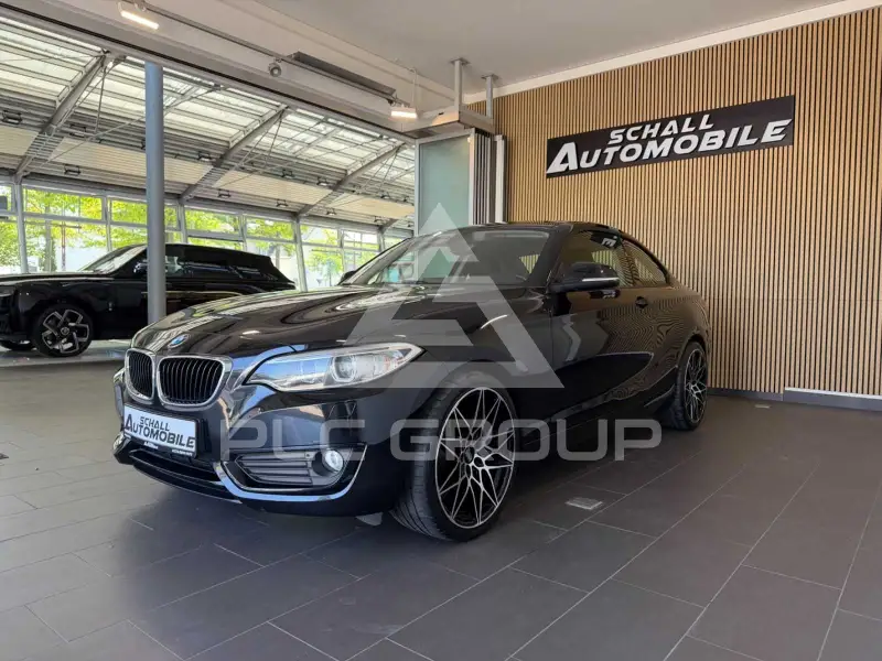 2015 BMW 218