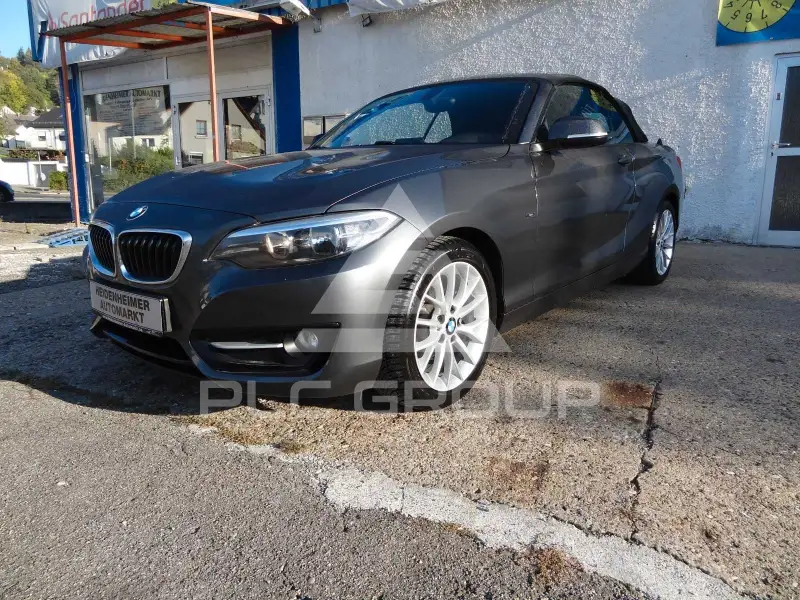 2015 BMW 218