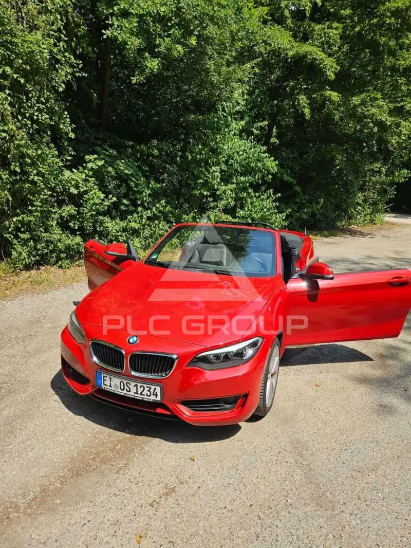 2015 BMW 218