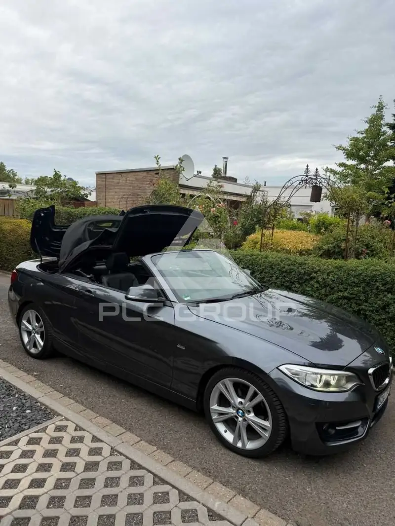 2015 BMW 218