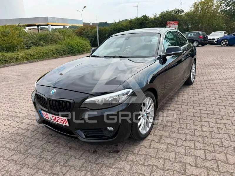2015 BMW 228