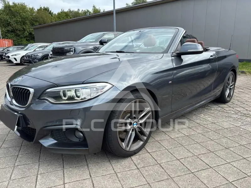 2015 BMW 228