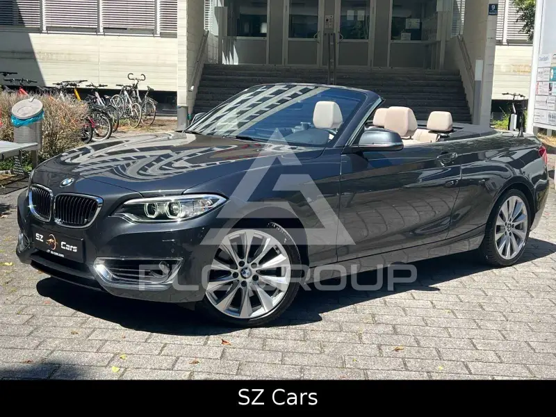 2015 BMW 228