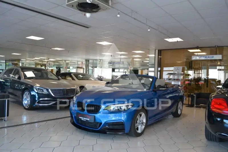 2015 BMW 228