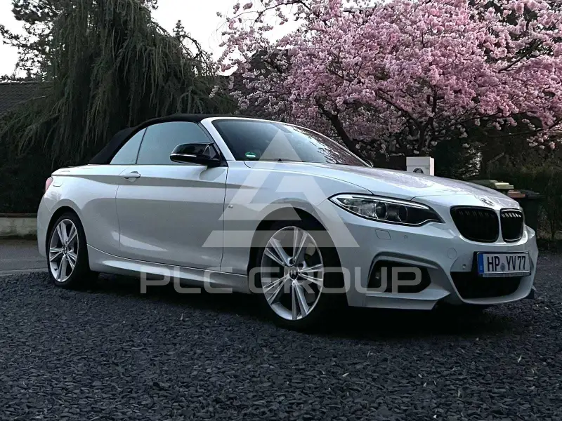 2015 BMW 228