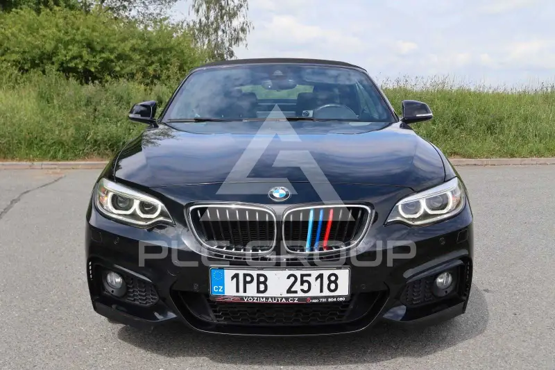 2015 BMW 228