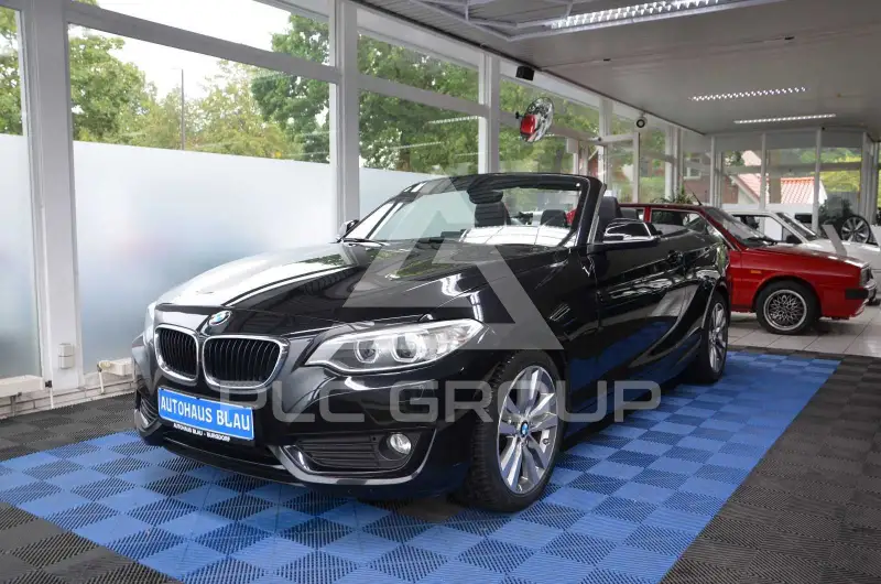 2015 BMW 228