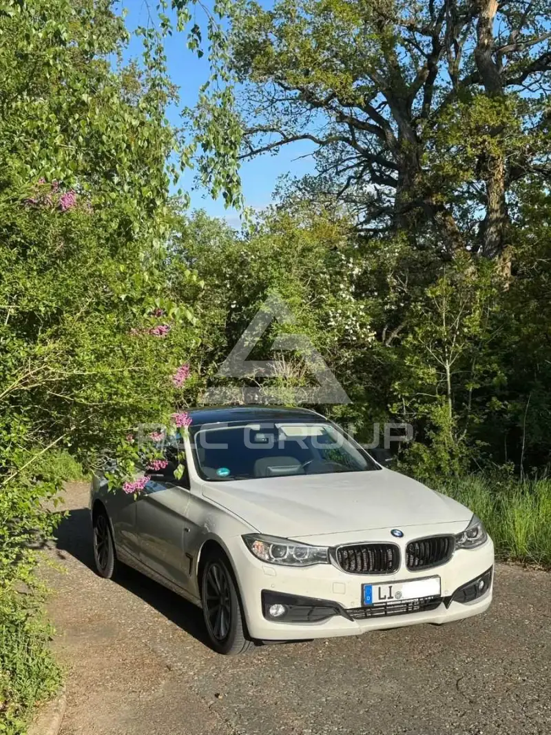 2015 BMW 318