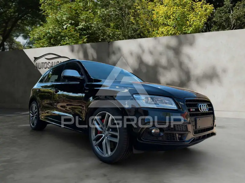 2015 Audi SQ5