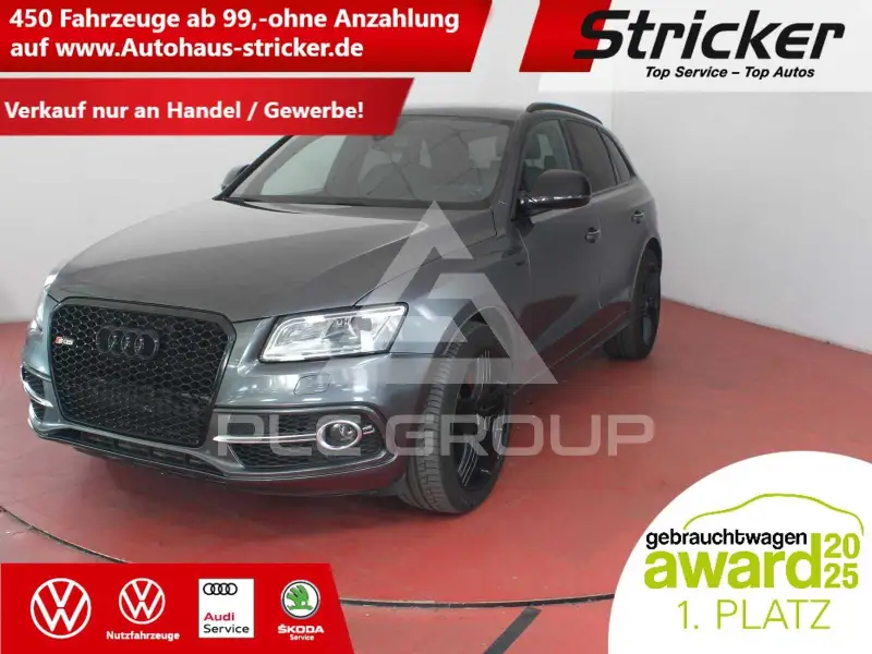 2015 Audi SQ5