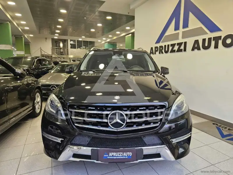 2015 Mercedes Benz ML 250