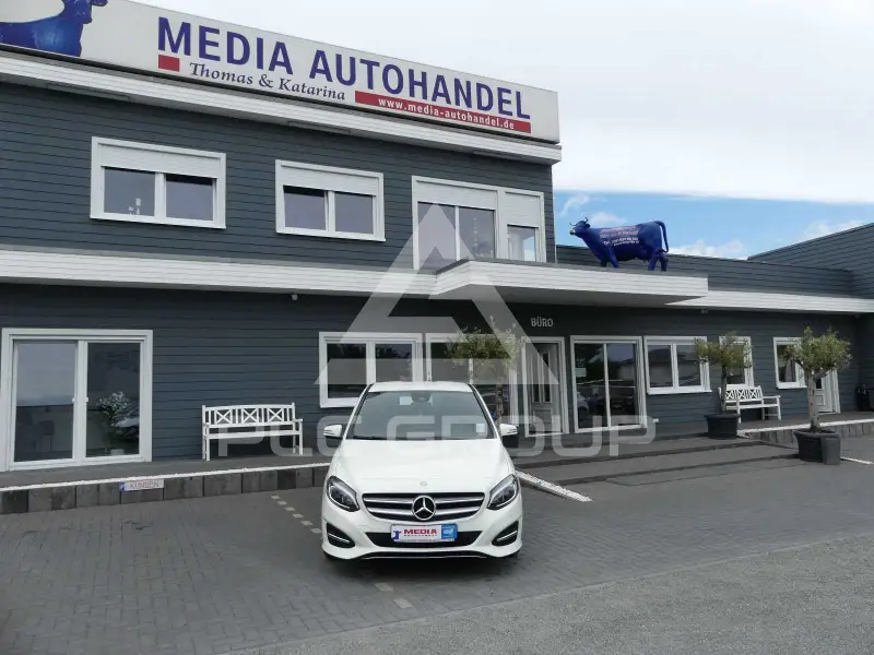 2015 Mercedes Benz B 220