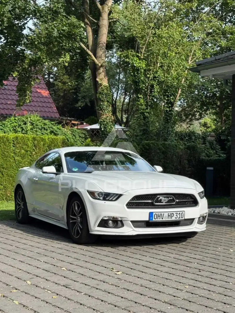 2015 Ford MUSTANG