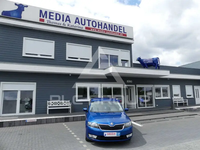 2016 Skoda Rapid