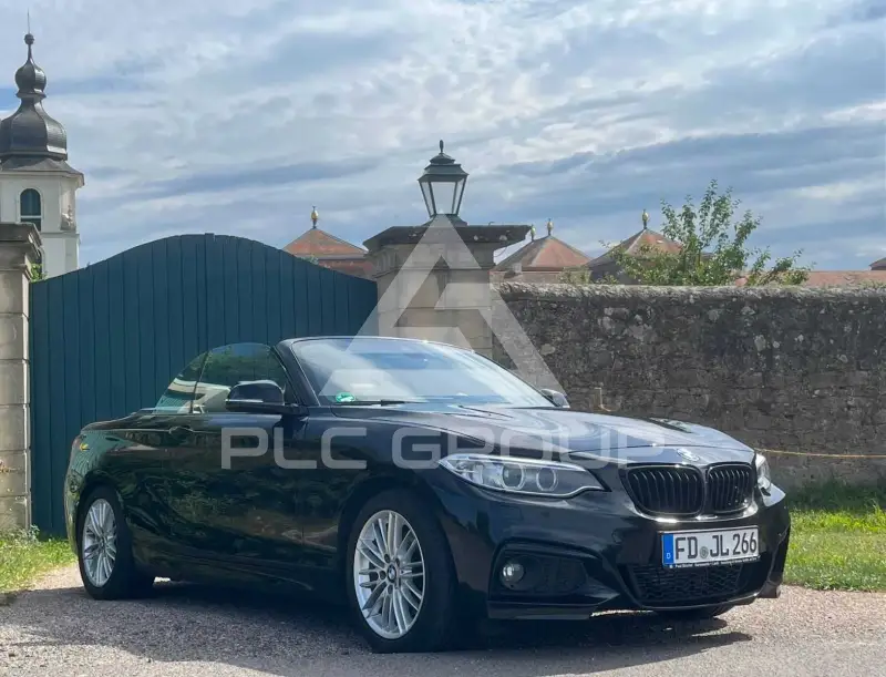 2016 BMW 220