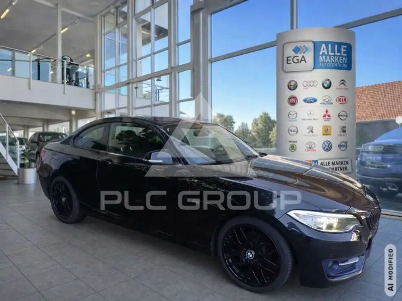 2016 BMW 220