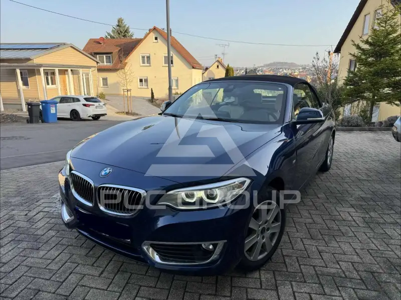 2016 BMW 220
