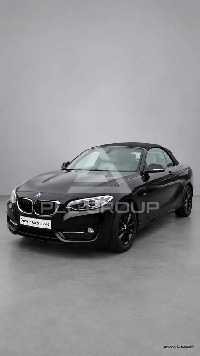 2016 BMW 220