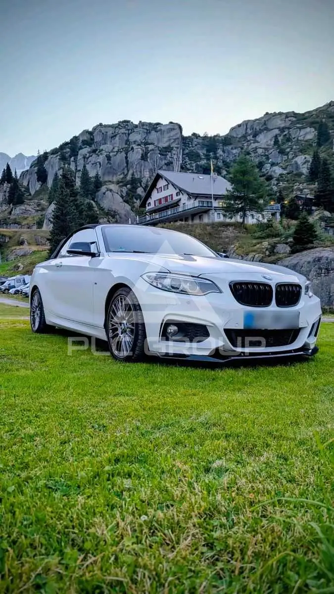 2016 BMW 220