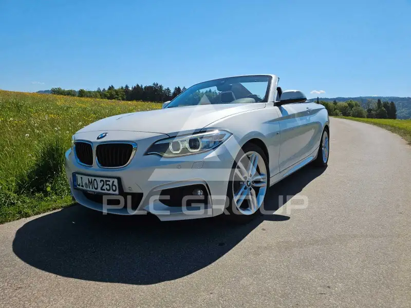 2016 BMW 225