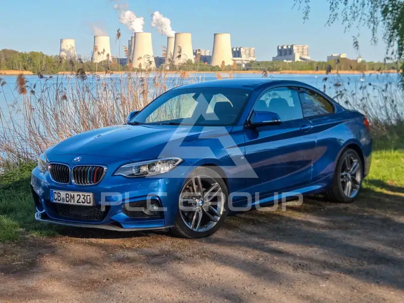 2016 BMW 218