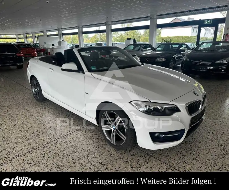 2016 BMW 218