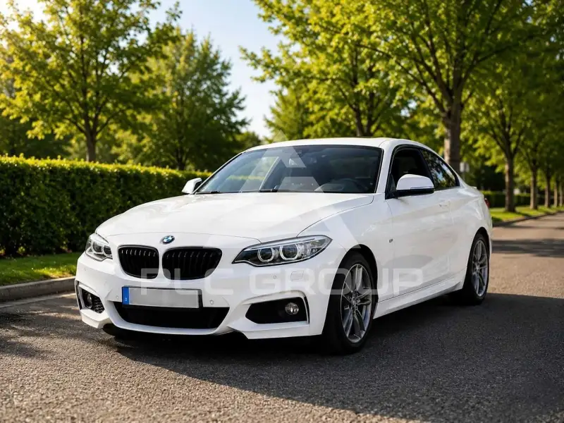 2016 BMW 218