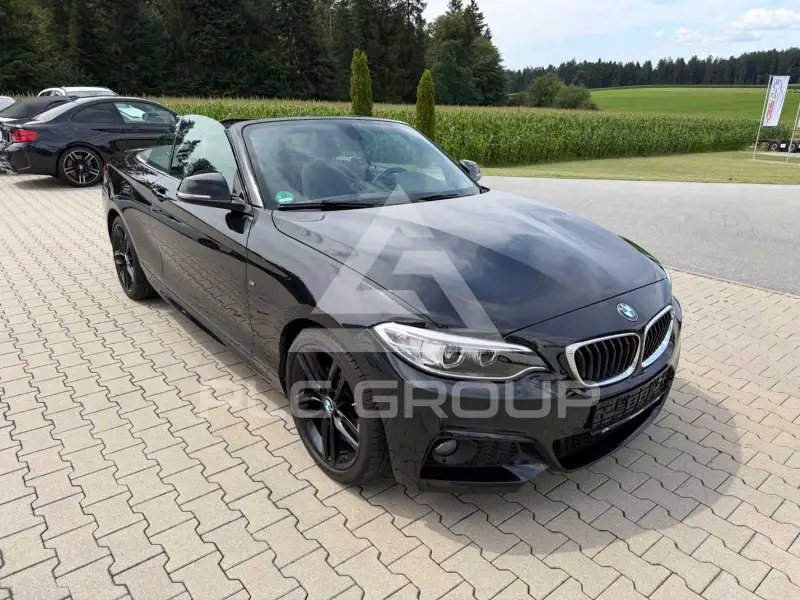 2016 BMW 218