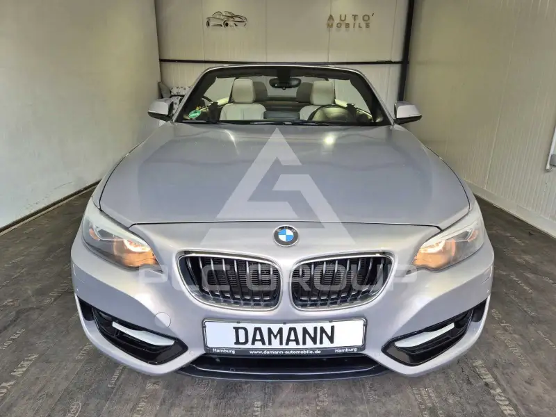 2016 BMW 228