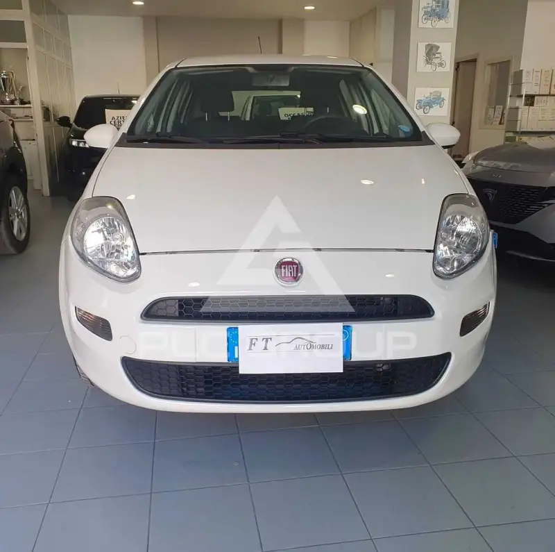 2016 Fiat Punto
