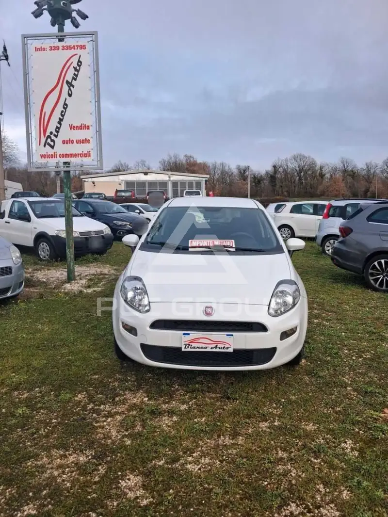 2016 Fiat Punto