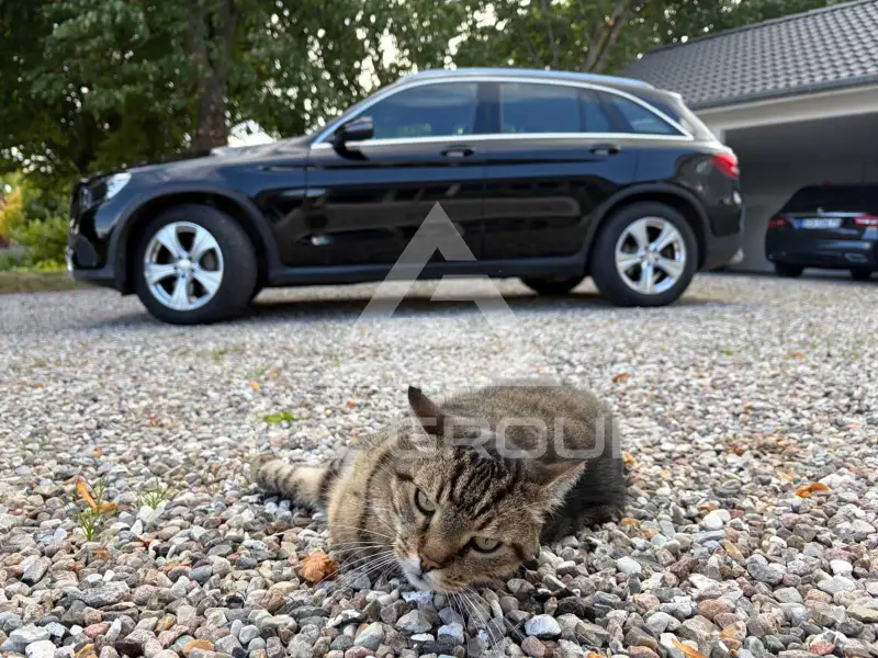 2016 Mercedes Benz GLC 220
