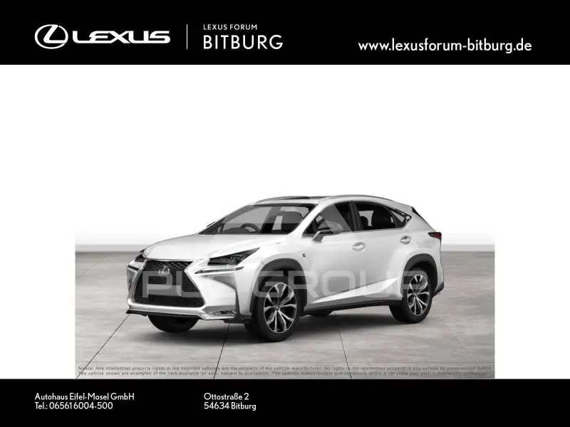 2016 Lexus NX300