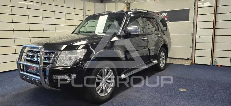 2017 Mitsubishi PAJARO