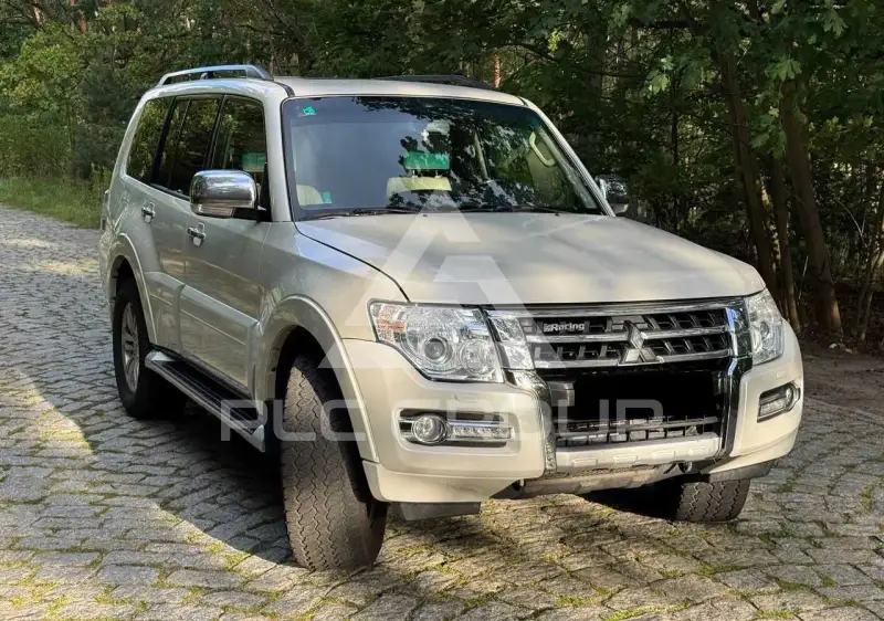 2017 Mitsubishi PAJARO