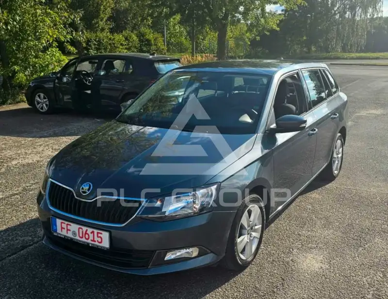 2017 Skoda Fabia
