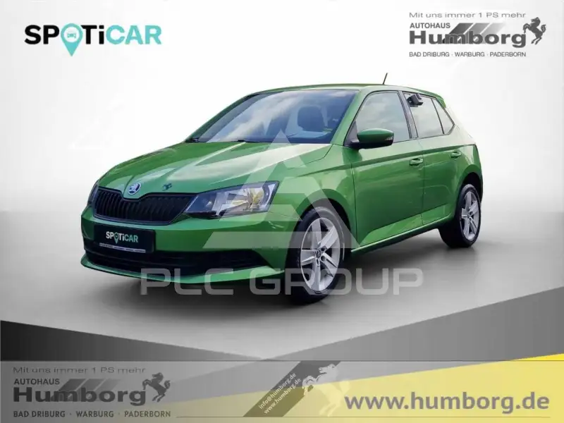 2017 Skoda Fabia