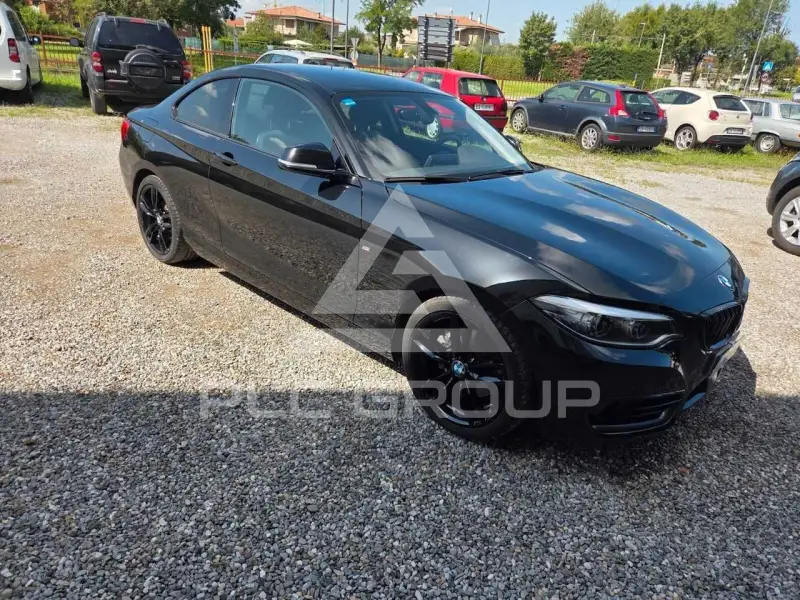 2017 BMW 220