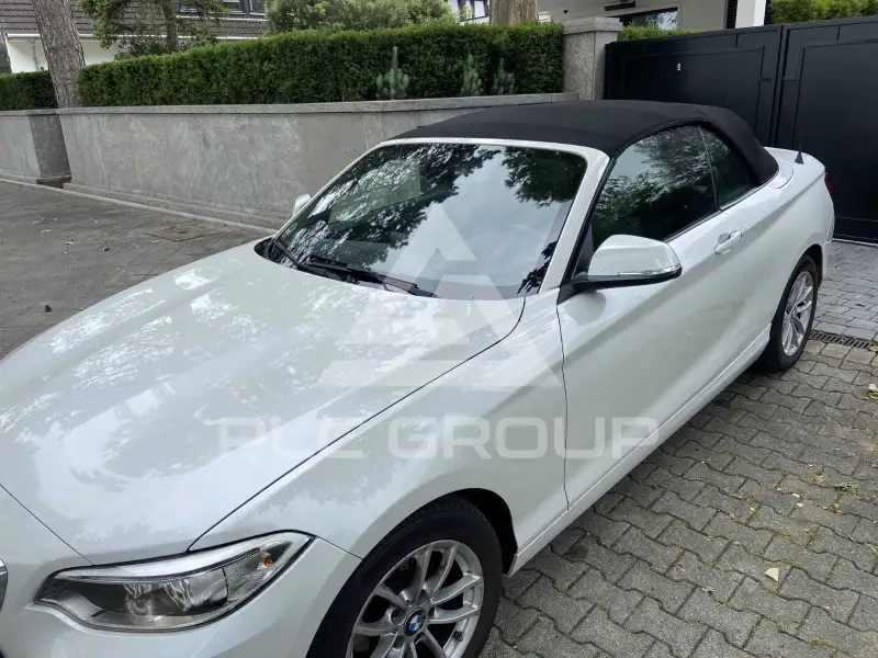 2010 BMW 218