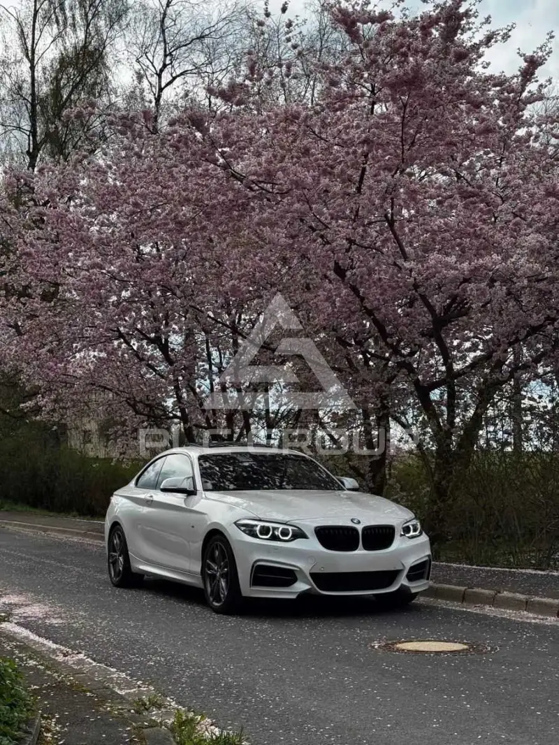 2017 BMW M2