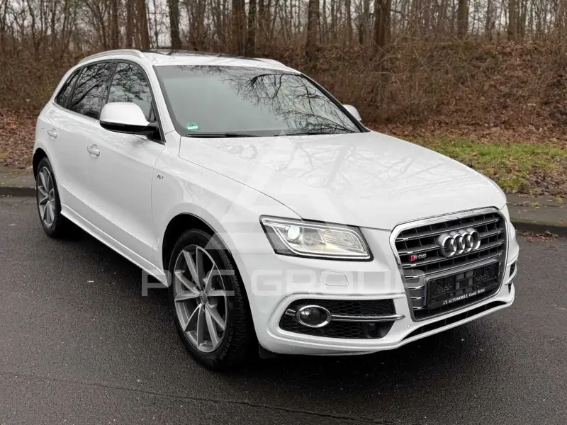 2017 Audi SQ5
