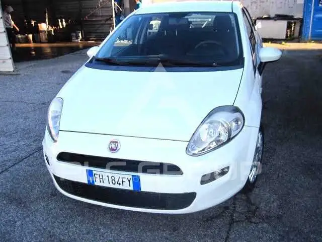 2017 Fiat Punto