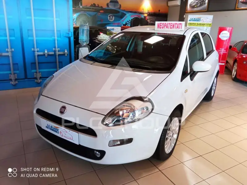 2017 Fiat Punto