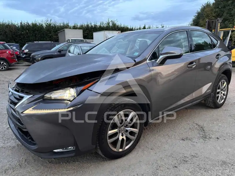 2017 Lexus Other