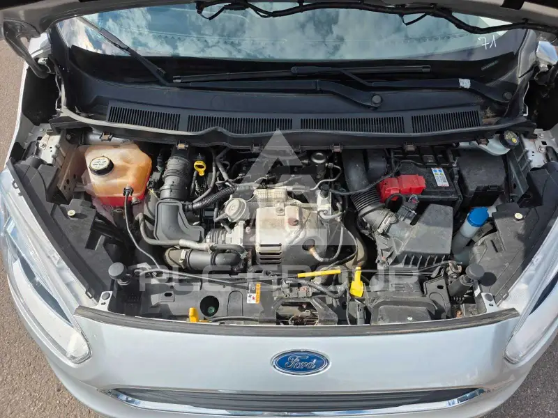 2017 Ford Tourneo