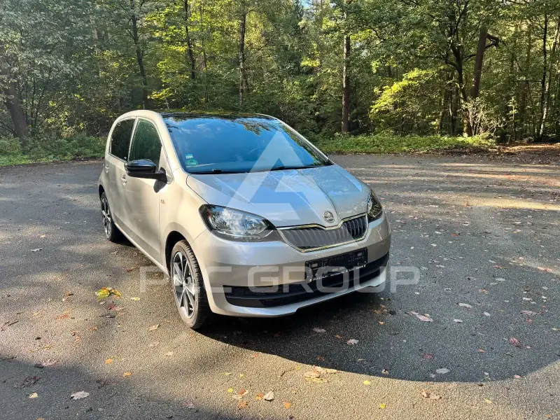2018 Skoda Citigo