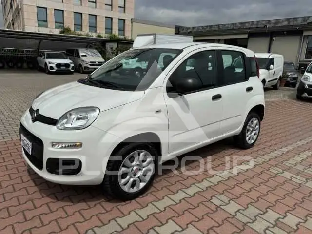 2018 Fiat Panda
