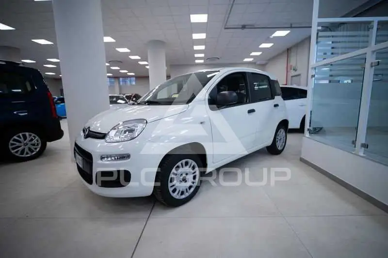 2018 Fiat Panda
